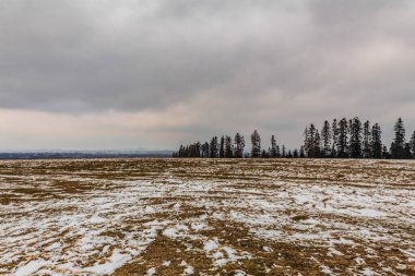 Ağaçlar ve karla kaplı güzel kış manzarası