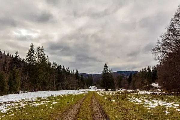 Karla kaplı güzel bir manzara - ağaçlarla kaplı