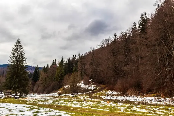 Dağlar ve karla kaplı güzel bir manzara.