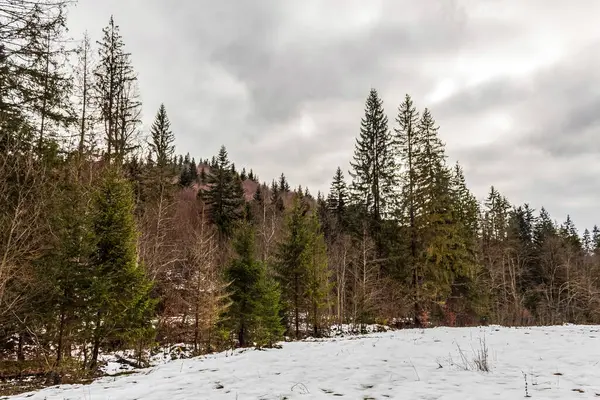 Güzel kış manzarası Polonya dağlarında