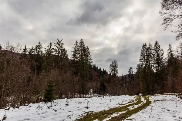 Kışın ağaçlar karla kaplanır.