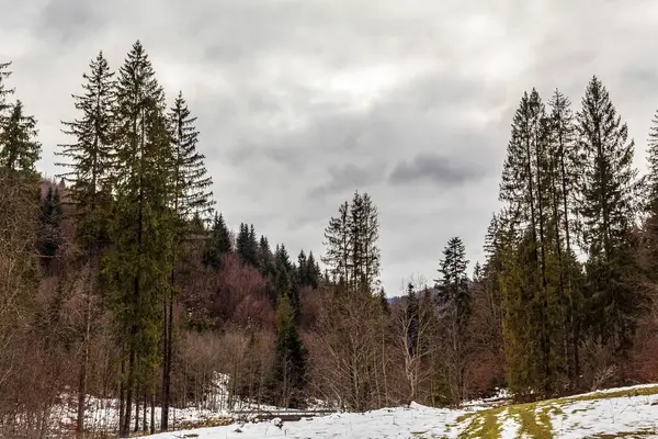 Kar dağ orman kaplı