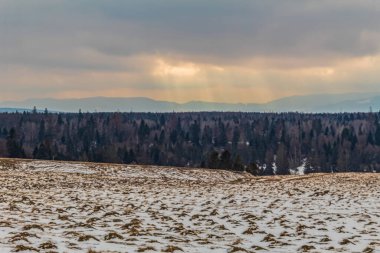Karpatya dağlarında kış