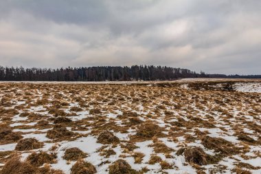 kış manzara güzel görünümü