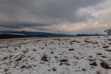 Karla kaplı ağaçlarla kaplı kış manzarası