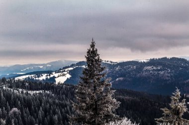 Sabahleyin dağların manzarası