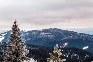 Karla kaplı ormanlı güzel kış dağları