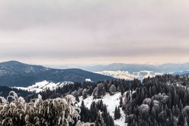 Karla kaplı ağaçlarla kaplı kış manzarası