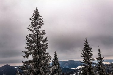 Karla kaplı dağlarla kaplı kış manzarası
