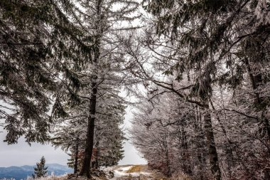 Dağlarda kış manzarası