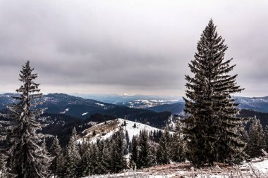 Karpat Dağları güzel kış manzarası