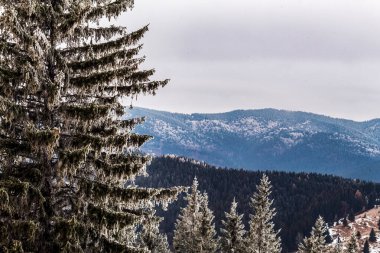 Karpat Dağları 'ndaki güzel dağ manzarası. Ukrayna