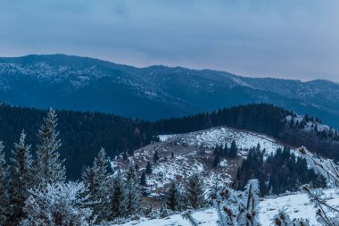 Karpatlar, Ukrayna 'da kış manzarası