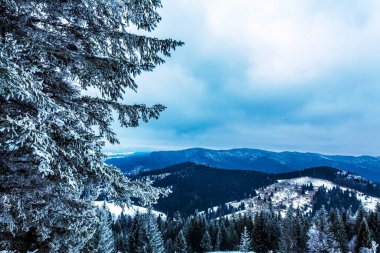Karla kaplı ağaçlarla kaplı kış manzarası