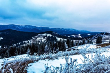 Karla kaplı ağaçlarla kaplı güzel kış manzarası