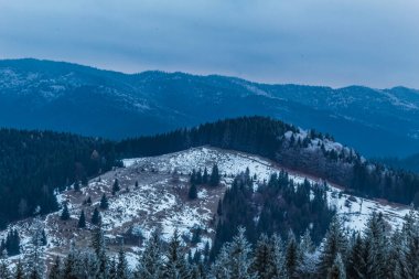 Karpat Dağları 'ndaki kış manzarası