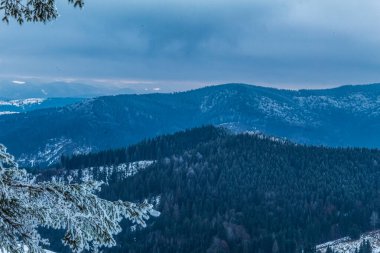 Karla kaplı ağaçlarla kaplı kış manzarası