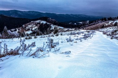 Karpat Dağları 'ndaki kış manzarası