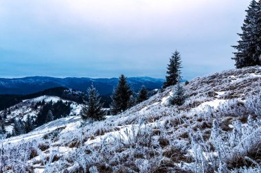 Karpatlar kış manzarası