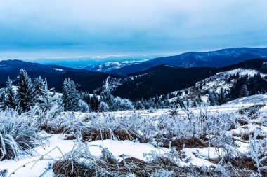 Karlı kış manzarası