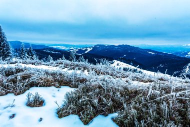 Karpat dağlarının kış manzarası, Ukrayna.