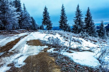 Karpat Dağları güzel kış manzarası.