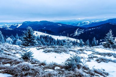 Dağlarda kış. güzel doğa.
