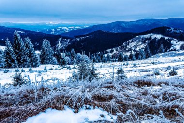 Karpatların karla kaplı kış manzarası