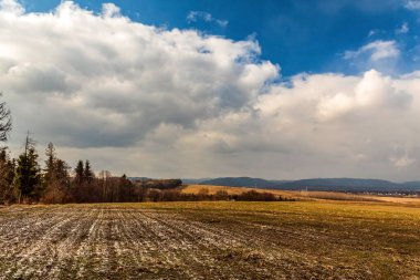 Güzel bir manzara Ağacı ve mavi gökyüzü