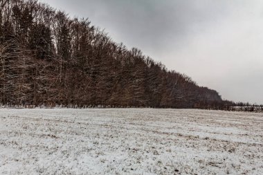 karla kaplı ağaçlar ve kışın tarlaları