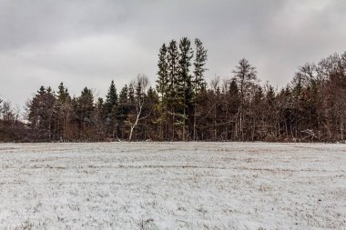 Bir kış günü karlı bir ormanla kaplı güzel bir tarla görüntüsü.