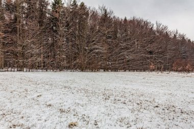 Karla kaplı ağaçlarla kaplı kış manzarası