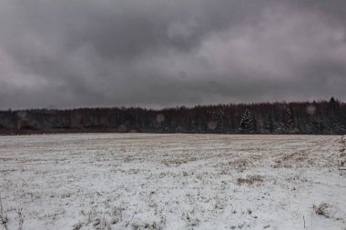 Karlı kış ormanı