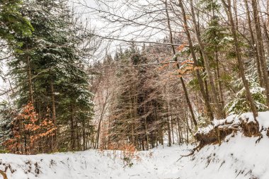 Karlı güzel kış manzarası