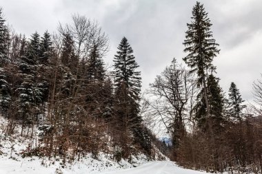 Dağlarda, Polonya 'da ve Avrupa' da karla kaplı güzel kış manzarası