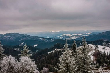 Ukrayna Karpatlar 'ında kış, bulutlu havada, kar...