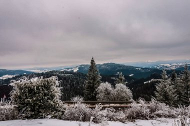 Karla kaplı ağaçlarla kaplı kış manzarası