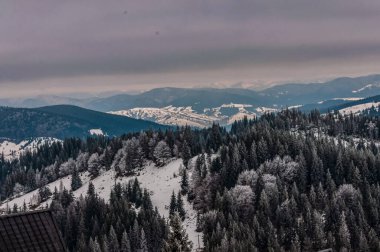 Romanya 'nın Karpat Dağları' ndaki kış manzarası