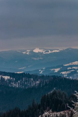 Karla kaplı ağaçlarla kaplı kış manzarası