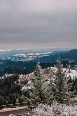 Karla kaplı ağaçlarla kaplı kış manzarası