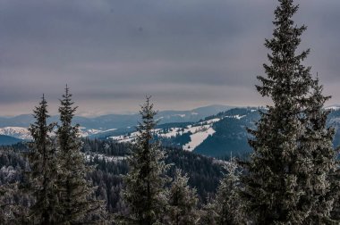Dağlardaki Karpatlar 'da kış manzarası