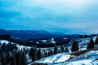 Kar ve ağaçlarla dolu güzel kış manzarası