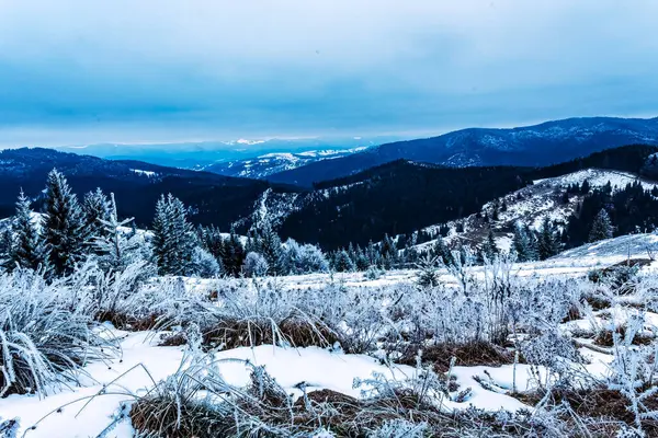 Karlı kış manzarası