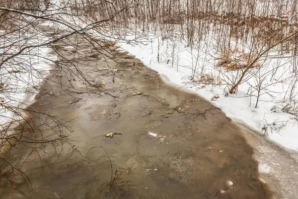 Ormandaki kış nehri