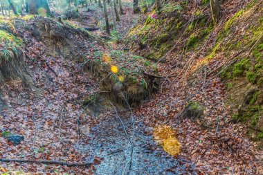 Güzel manzara. doğa arkaplanı