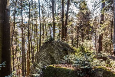 Dağların güzel manzarası