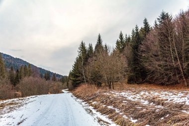 Kar ve ağaçlarla dolu güzel kış manzarası