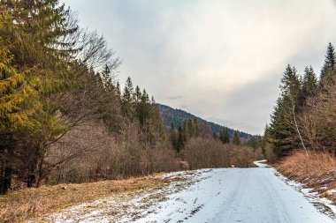 Karla kaplı ağaçlarla kaplı kış manzarası
