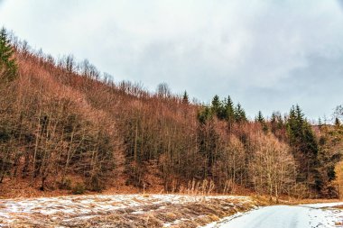 Güzel kış dağ manzarası