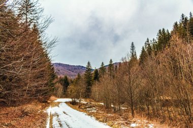 Bir yolu olan güzel kış manzarası